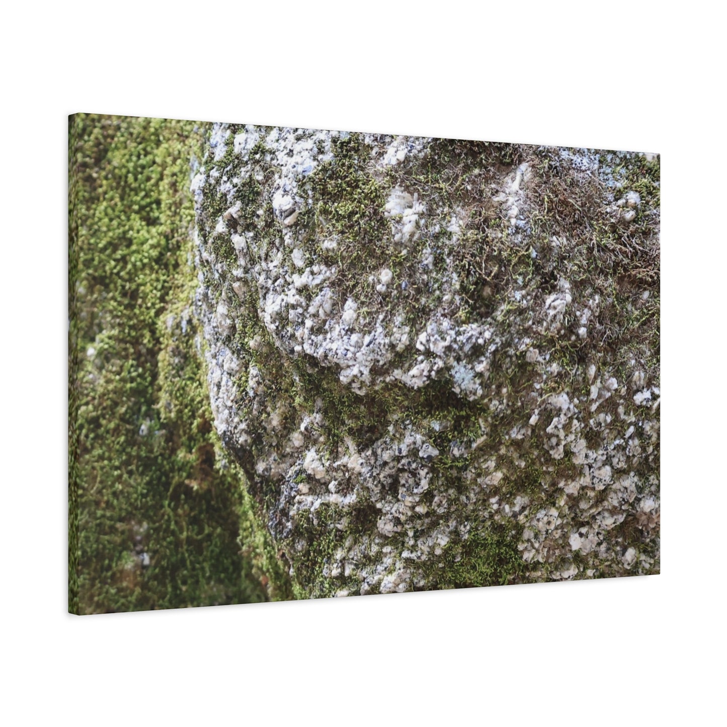 Moss and Stone Whispers - Unique Frameless Canvas Wall Art - Art By Earth