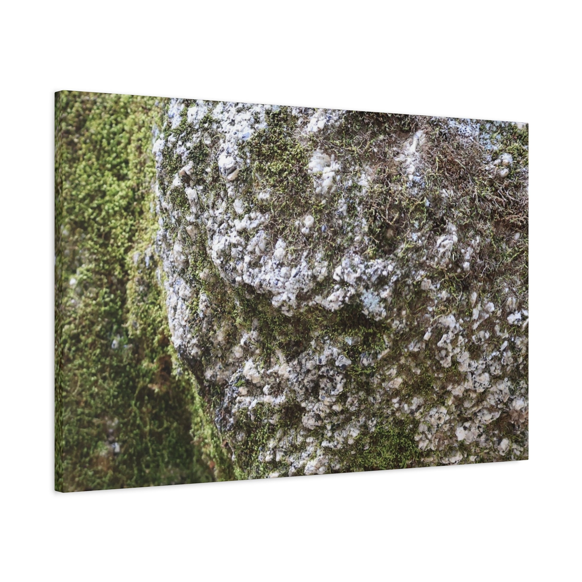 Moss and Stone Whispers - Unique Frameless Canvas Wall Art - Art By Earth