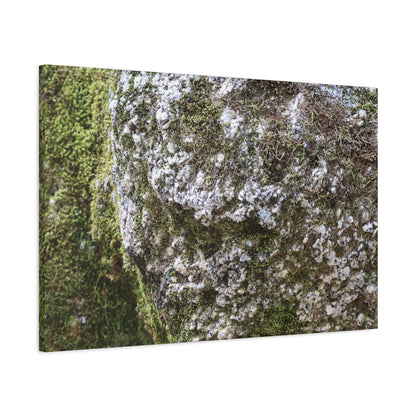 Moss and Stone Whispers - Unique Frameless Canvas Wall Art - Art By Earth
