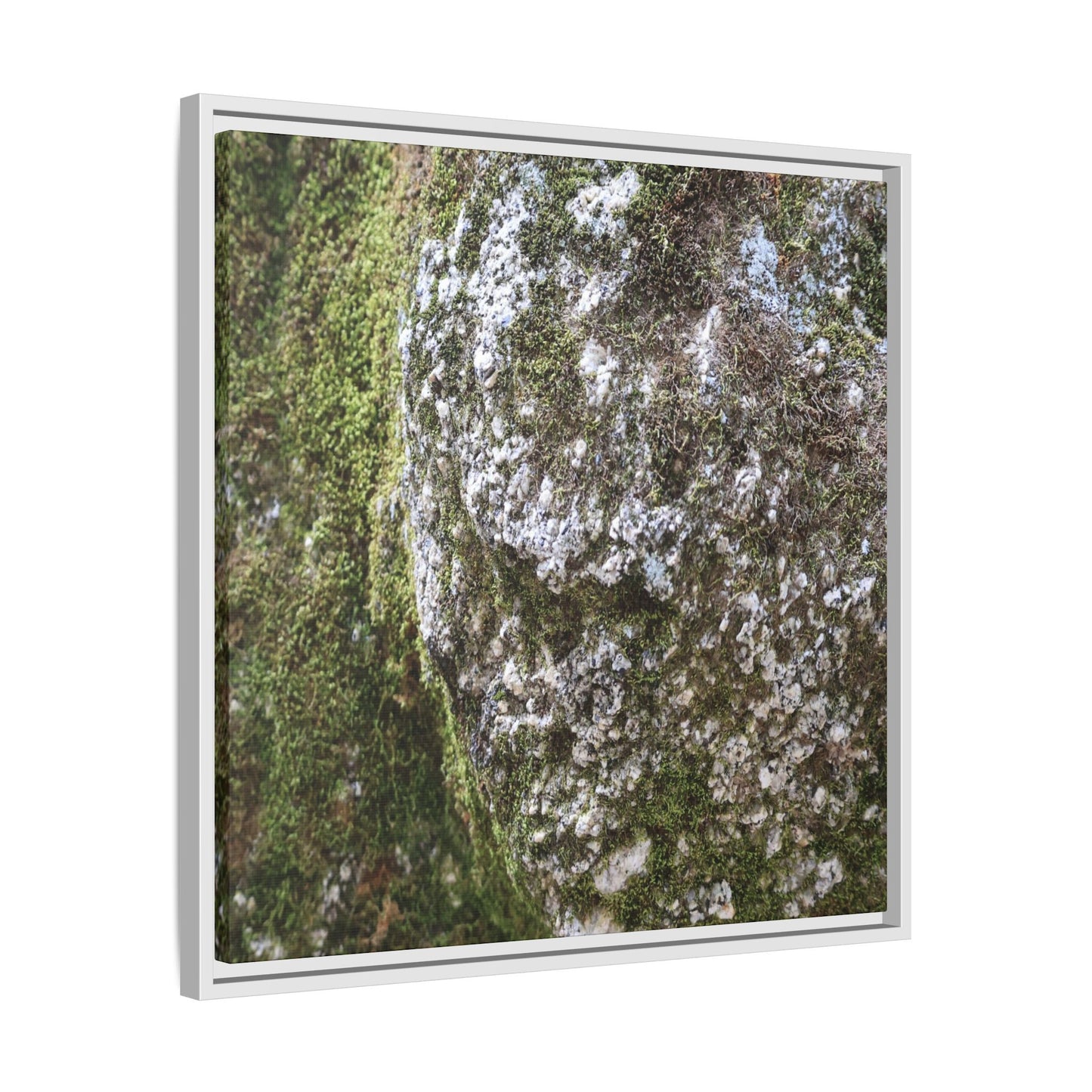 Lichen Landscape - Unique Stretched Canvas Wall Art - Art By Earth