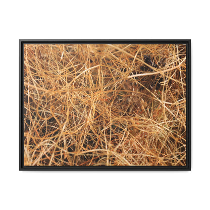 Dried Grass - Unique Stretched Canvas Wall Art - Art By Earth