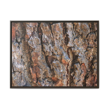 Craggy Textures - Unique Stretched Canvas Wall Art - Art By Earth