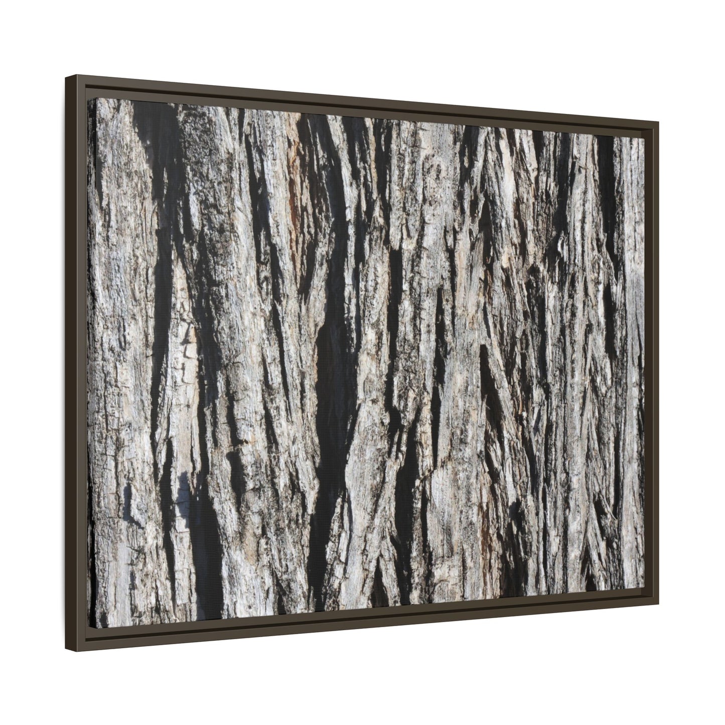 Bark Lines - Unique Stretched Canvas Wall Art - Art By Earth