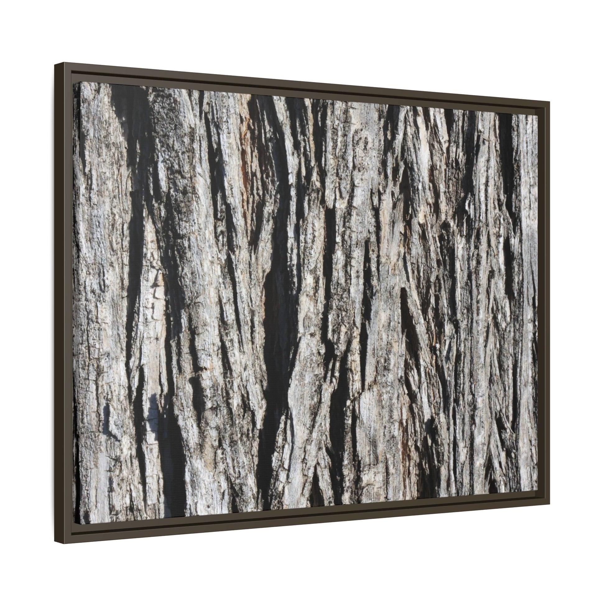 Bark Lines - Unique Stretched Canvas Wall Art - Art By Earth