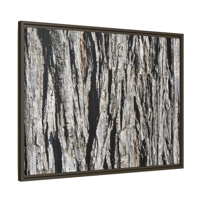 Bark Lines - Unique Stretched Canvas Wall Art - Art By Earth