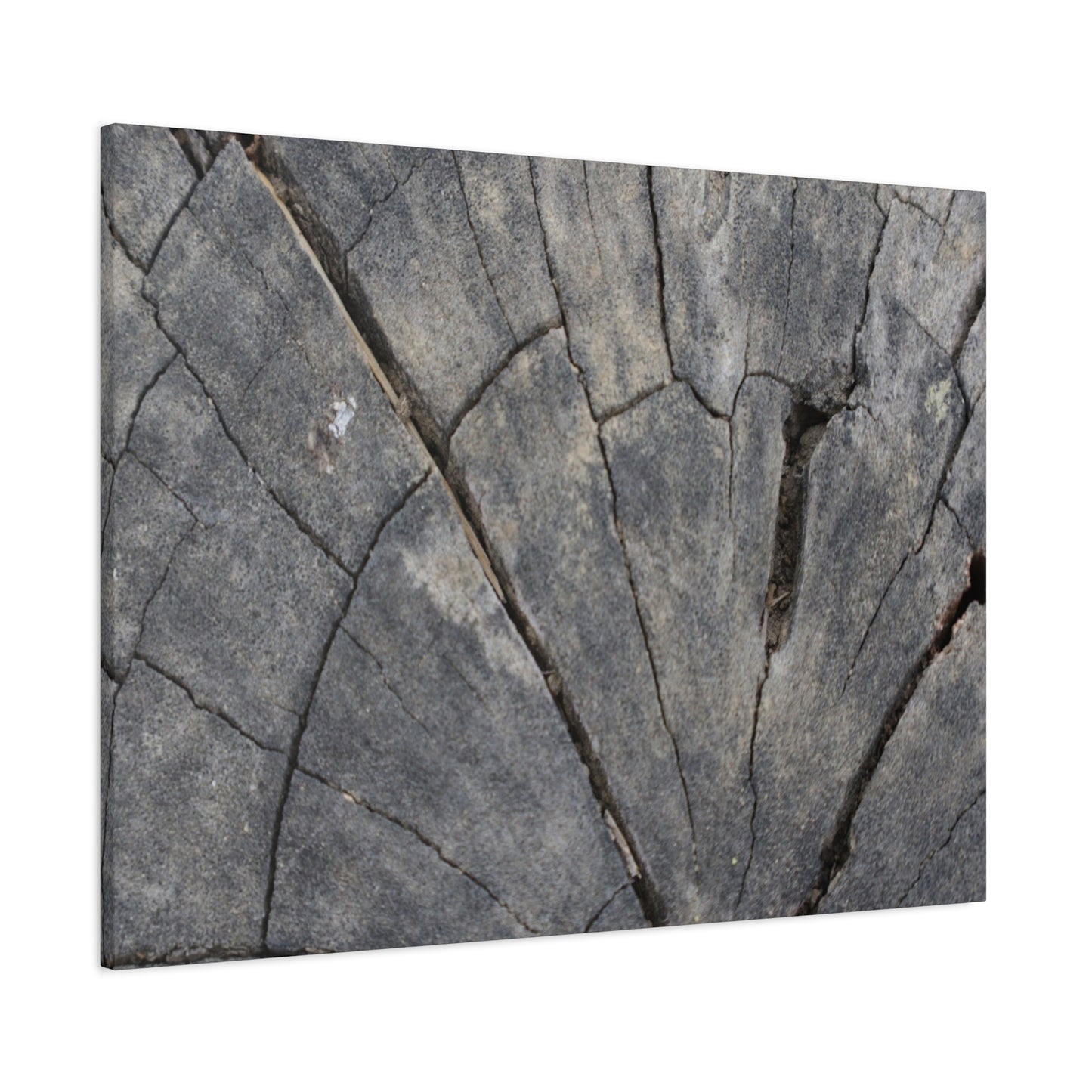 Geological Mosaic - Unique Frameless Canvas Wall Art - Art By Earth