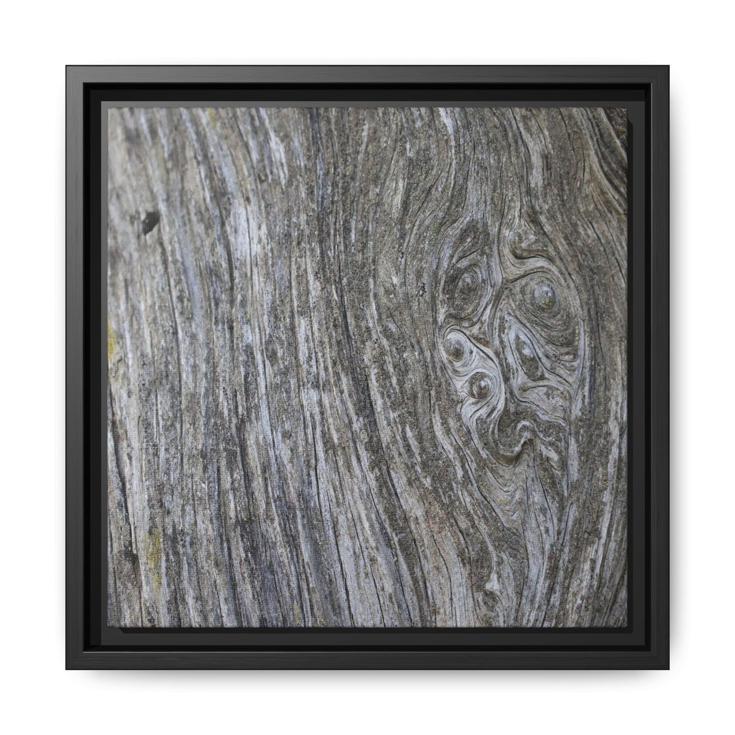 Eternal Knots - Unique Stretched Canvas Wall Art - Art By Earth