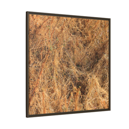 Dried Vegetation Study - Unique Stretched Canvas Wall Art - Art By Earth