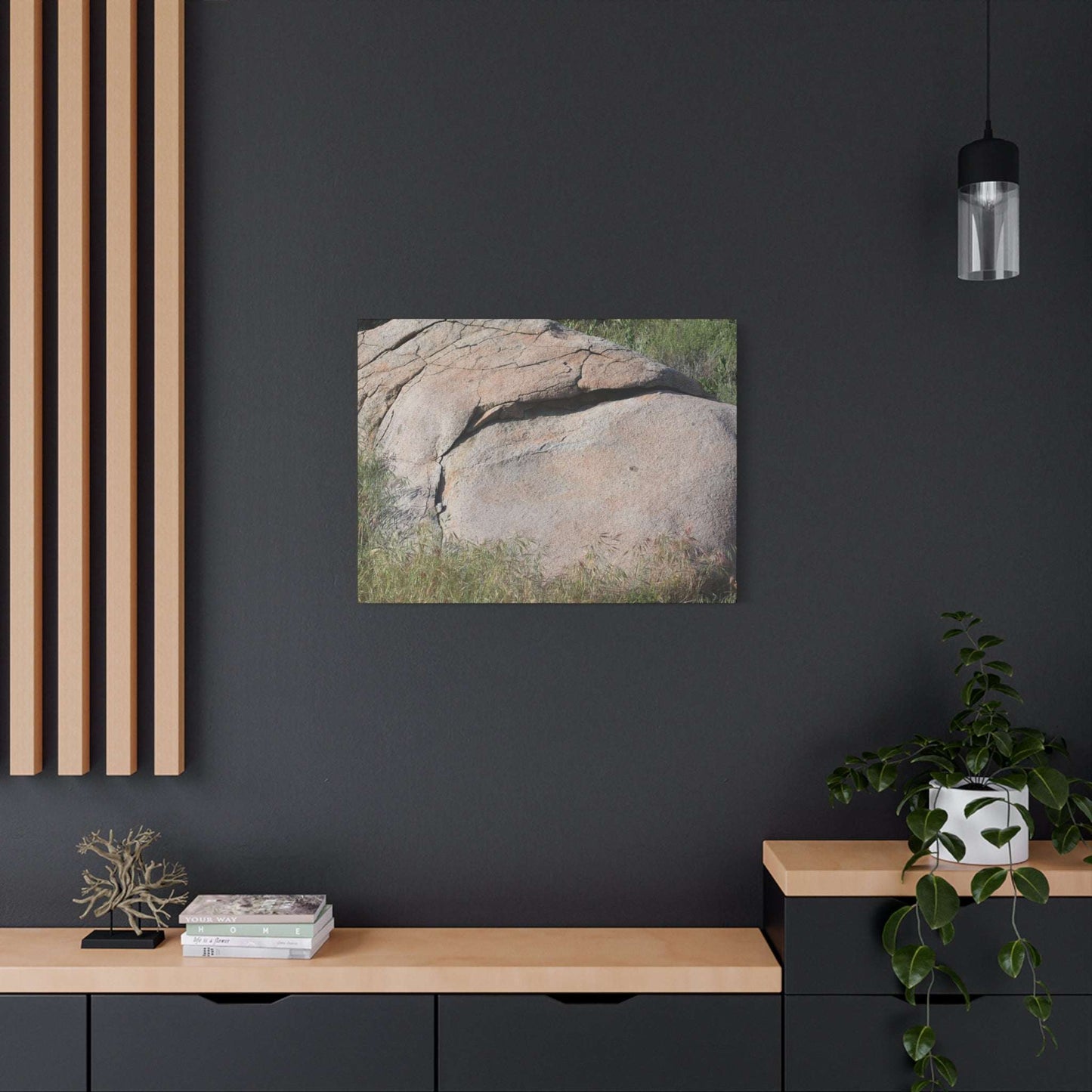 Granite Boulder in Desert Scrub - Unique Frameless Canvas Wall Art - Art By Earth