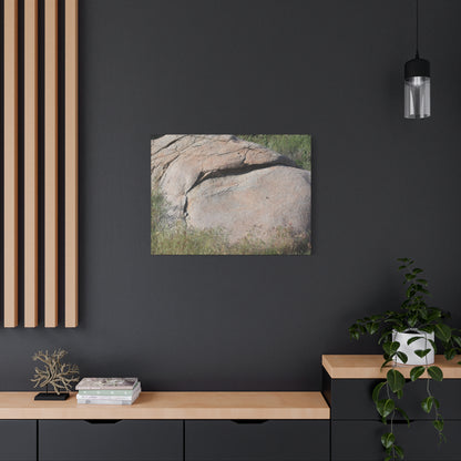 Granite Boulder in Desert Scrub - Unique Frameless Canvas Wall Art - Art By Earth