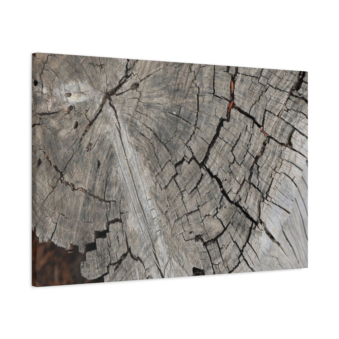 Cracked Memories - Unique Frameless Canvas Wall Art - Art By Earth