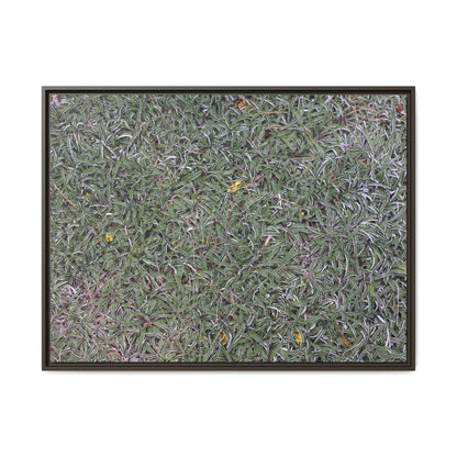Grassy Texture - Unique Stretched Canvas Wall Art - Art By Earth