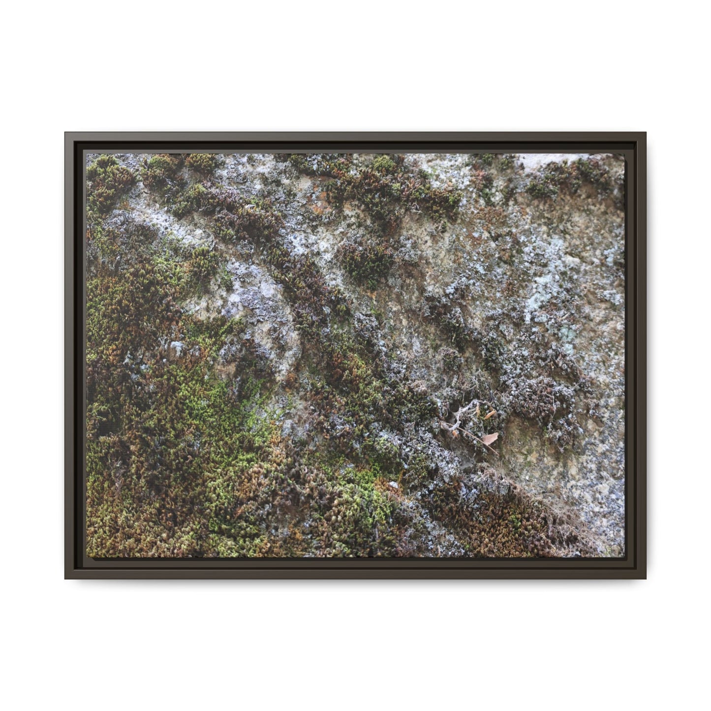 Mossy Whispers - Unique Stretched Canvas Wall Art - Art By Earth