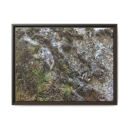 Mossy Whispers - Unique Stretched Canvas Wall Art - Art By Earth