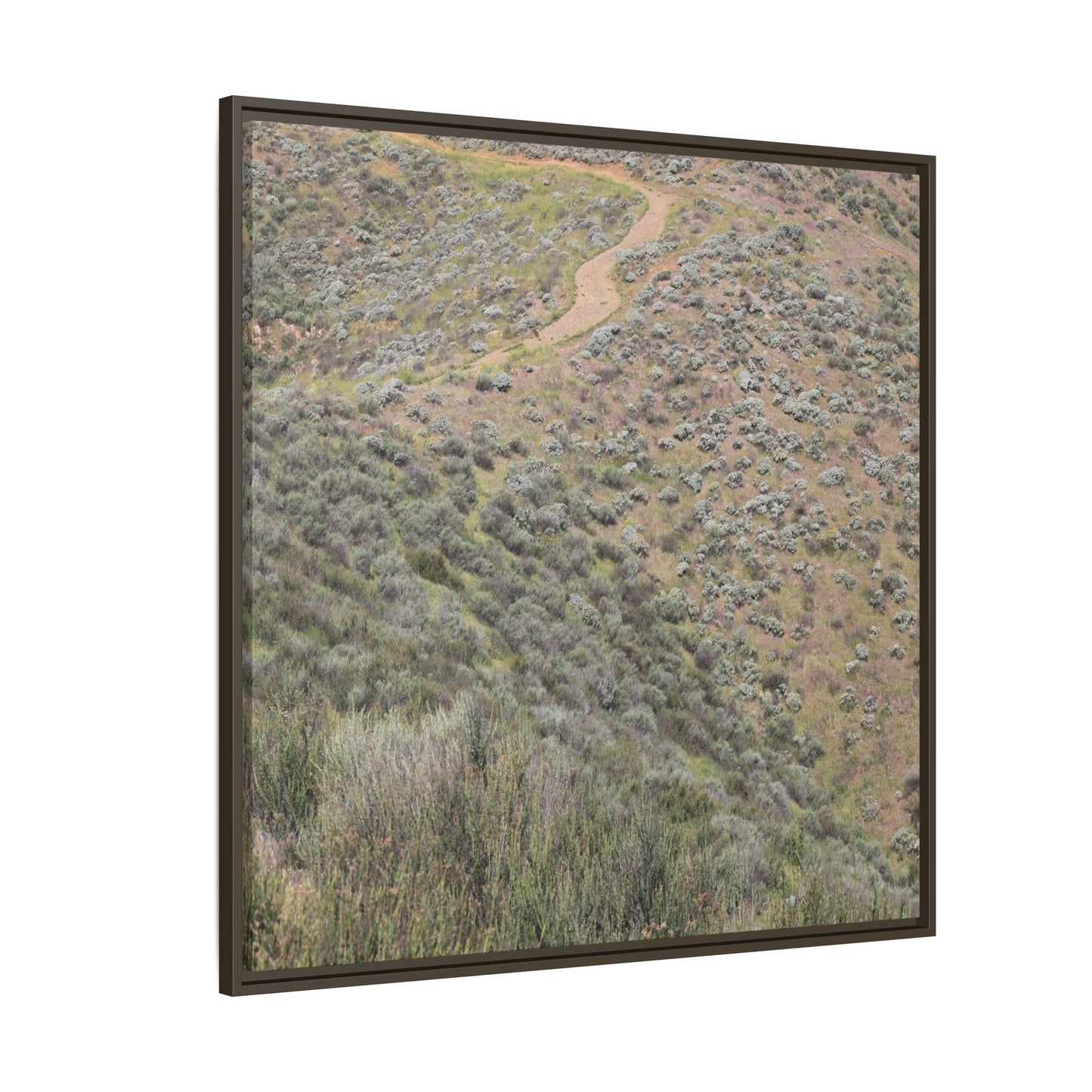 Arid Landscape with Winding Path - Unique Stretched Canvas Wall Art - Art By Earth