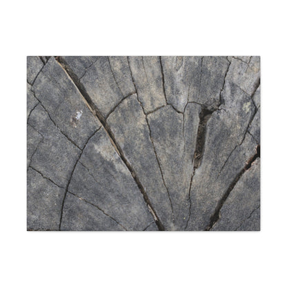 Geological Mosaic - Unique Frameless Canvas Wall Art - Art By Earth