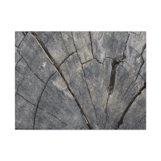 Geological Mosaic - Unique Frameless Canvas Wall Art - Art By Earth