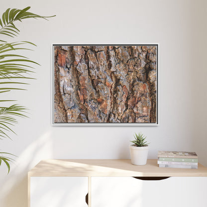 Tree's Timeworn Tale - Unique Stretched Canvas Wall Art - Art By Earth