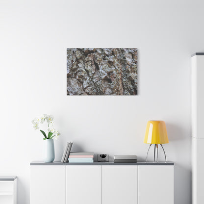 Cracked Echoes - Unique Frameless Canvas Wall Art - Art By Earth