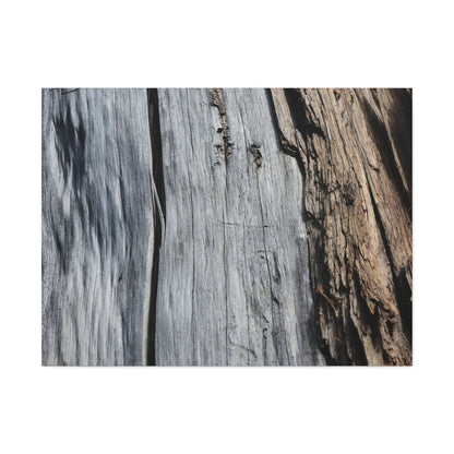 Fracture Lines - Unique Frameless Canvas Wall Art - Art By Earth