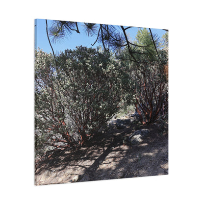 Desert Blooms - Unique Frameless Canvas Wall Art