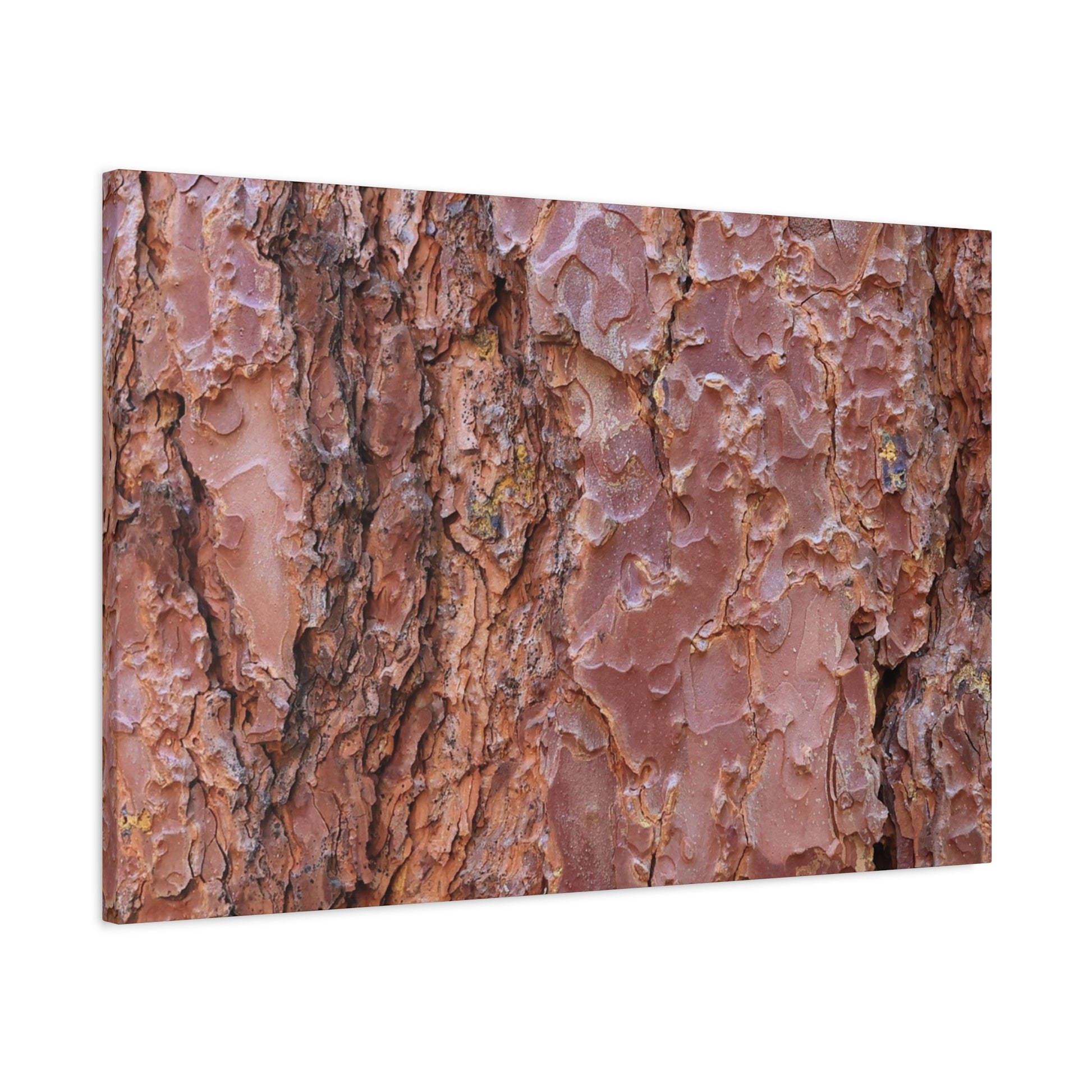 Rusty Textures - Unique Frameless Canvas Wall Art - Art By Earth