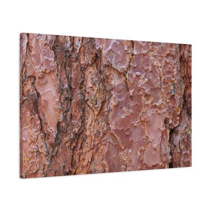 Rusty Textures - Unique Frameless Canvas Wall Art - Art By Earth