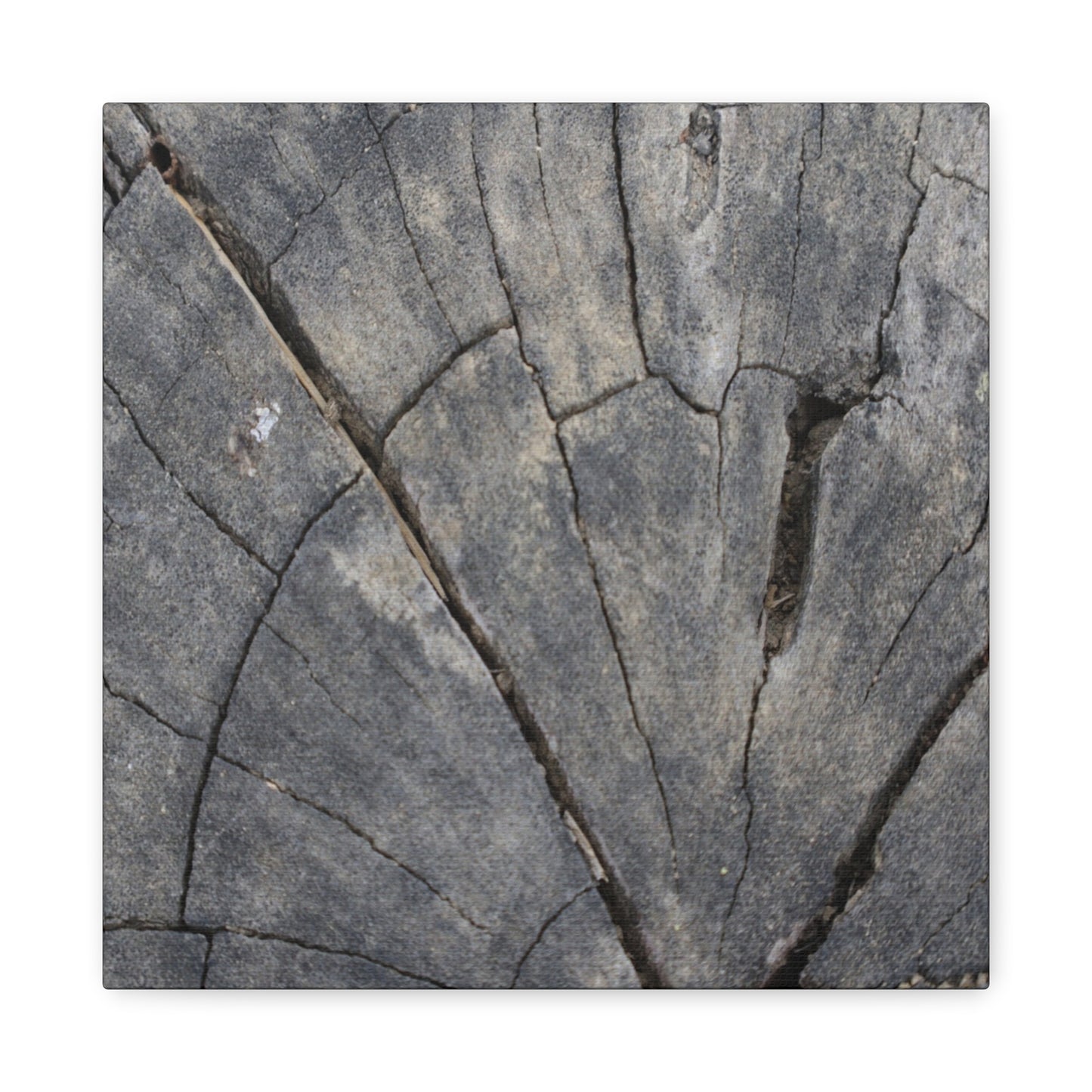 Geological Mosaic - Unique Frameless Canvas Wall Art - Art By Earth