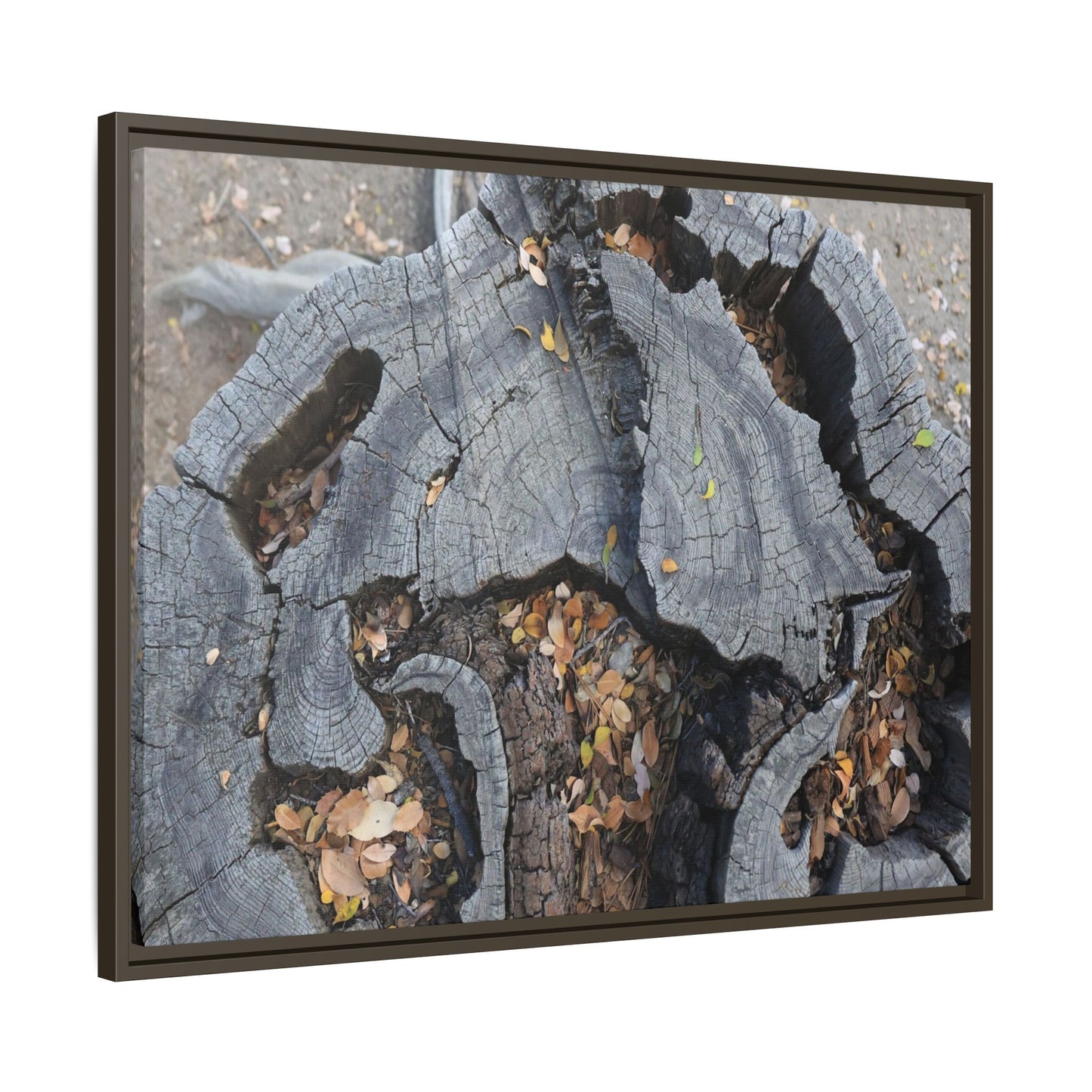 Time's Fractal Memory - Unique Stretched Canvas Wall Art - Art By Earth