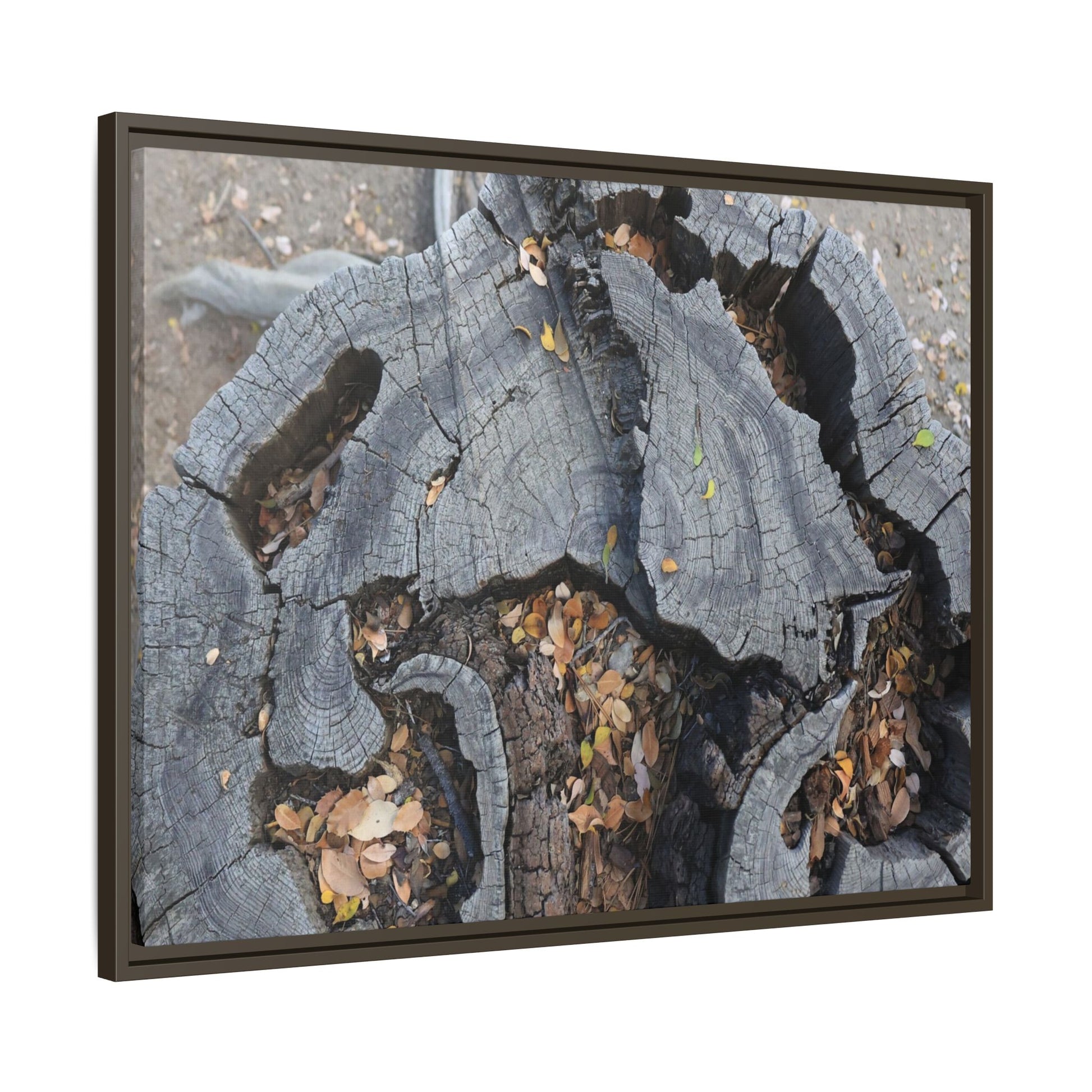 Time's Fractal Memory - Unique Stretched Canvas Wall Art - Art By Earth