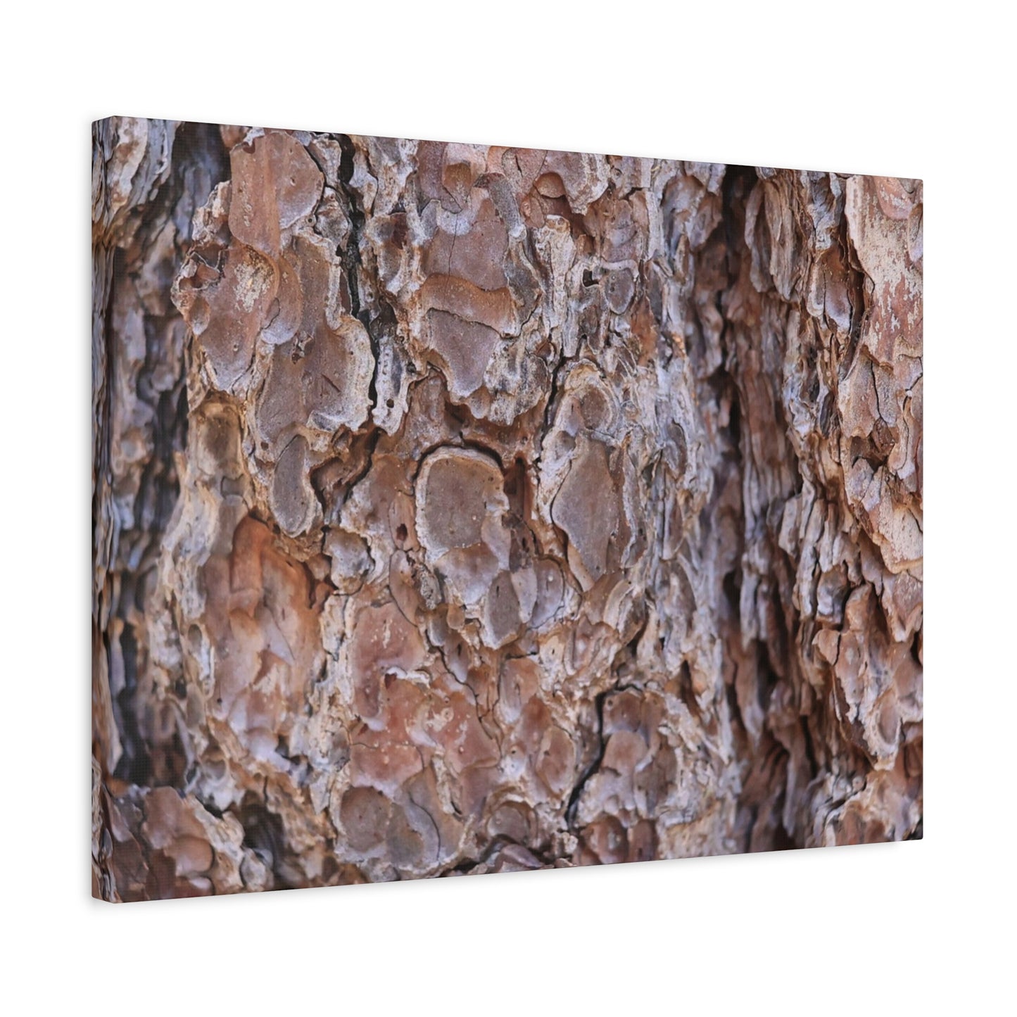 Rugged Bark Landscape - Unique Frameless Canvas Wall Art - Art By Earth