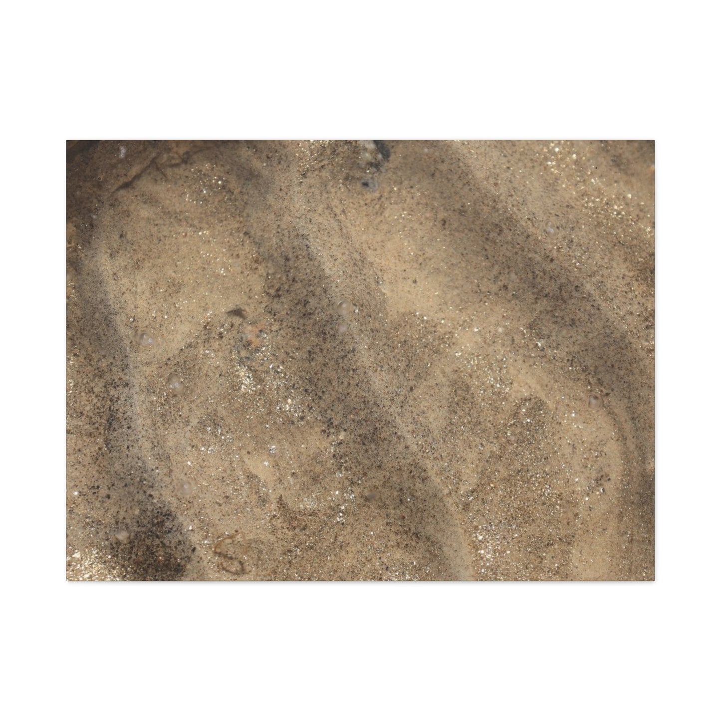 Shallow Waters - Unique Frameless Canvas Wall Art - Art By Earth