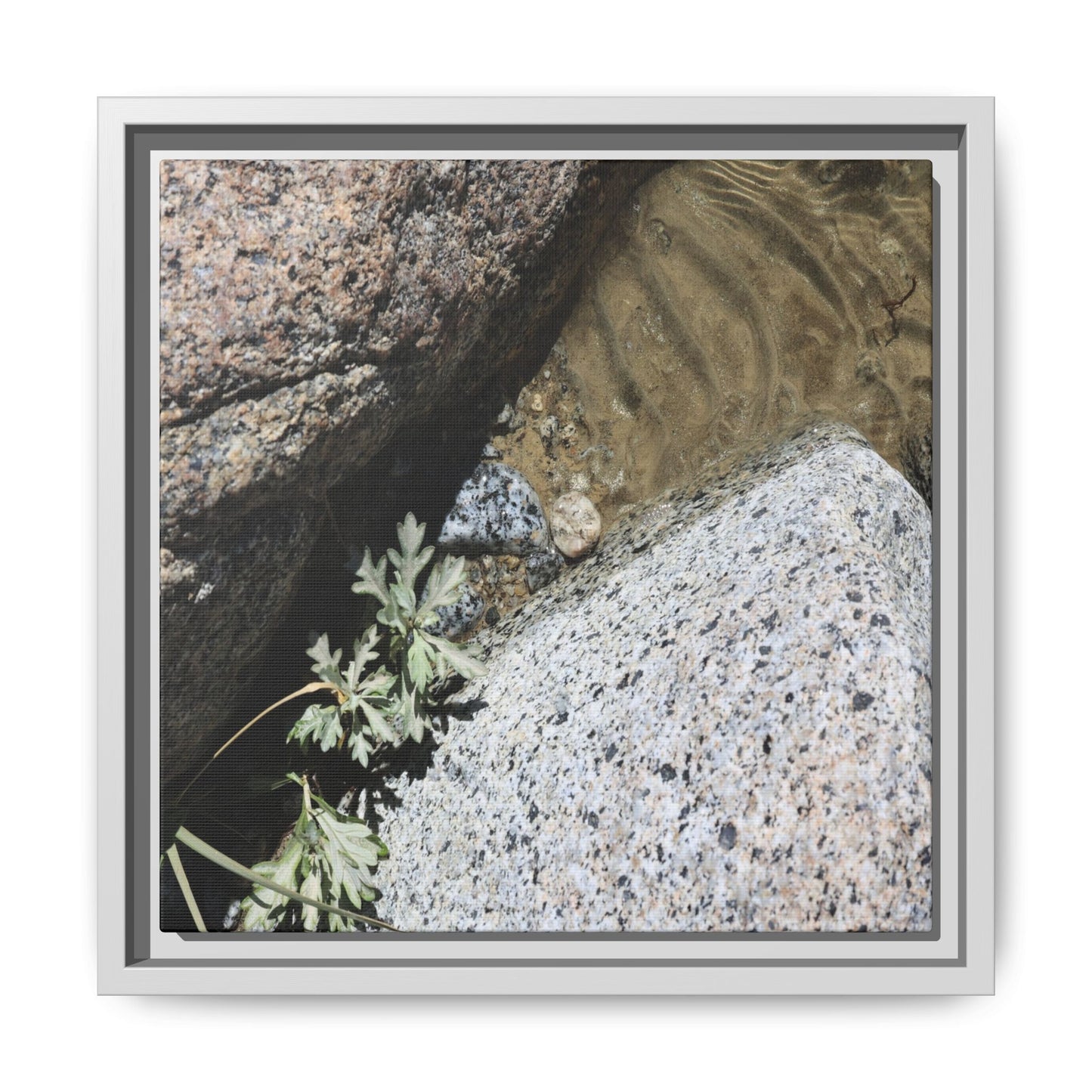 Resilience in Stone - Unique Stretched Canvas Wall Art - Art By Earth