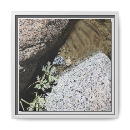 Resilience in Stone - Unique Stretched Canvas Wall Art - Art By Earth