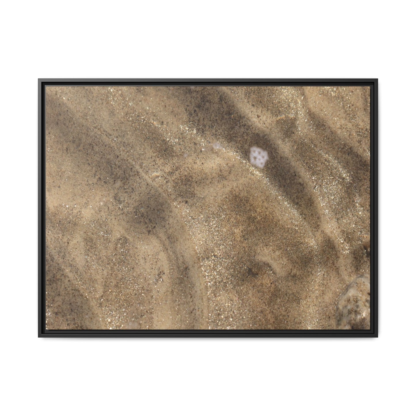 Underwater Sand Exploration - Unique Stretched Canvas Wall Art - Art By Earth
