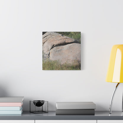 Granite Boulder in Desert Scrub - Unique Frameless Canvas Wall Art - Art By Earth