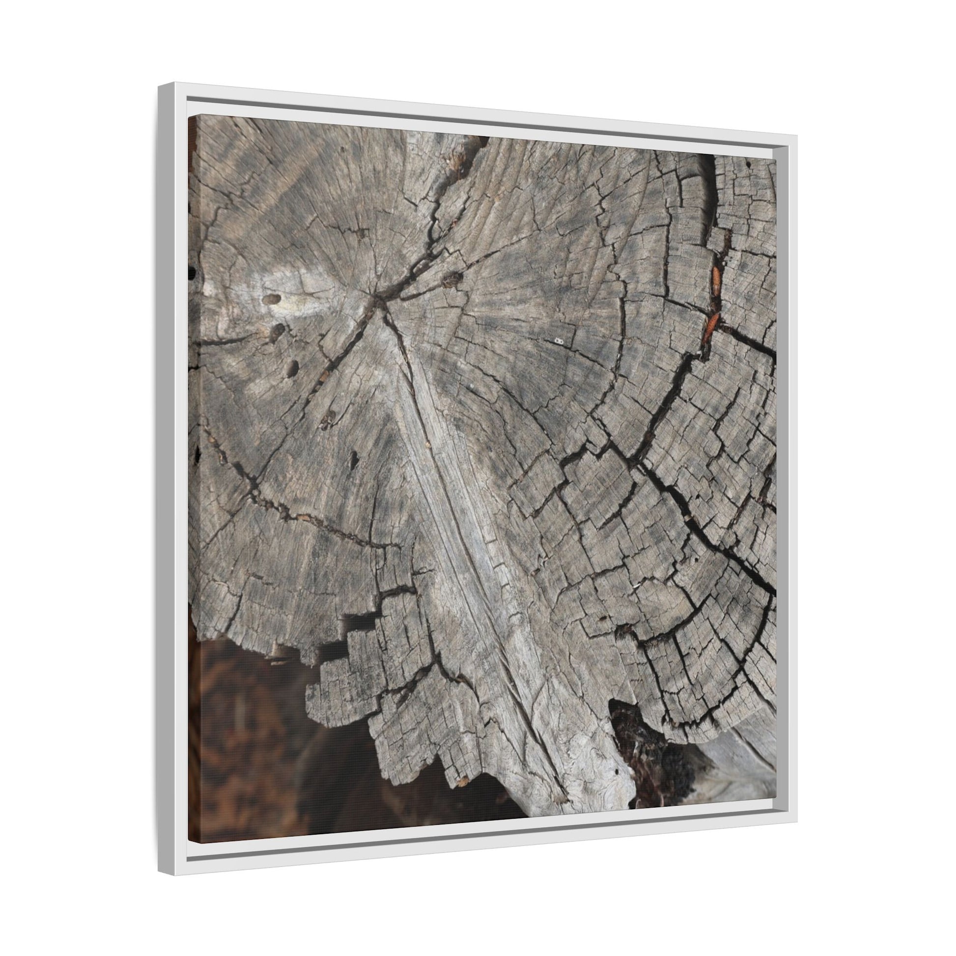 Time's Signature - Unique Stretched Canvas Wall Art - Art By Earth