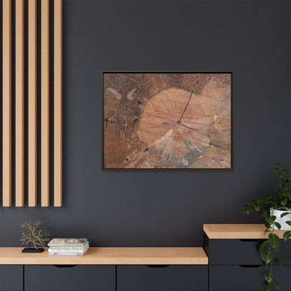 Concentric Memories - Unique Stretched Canvas Wall Art - Art By Earth