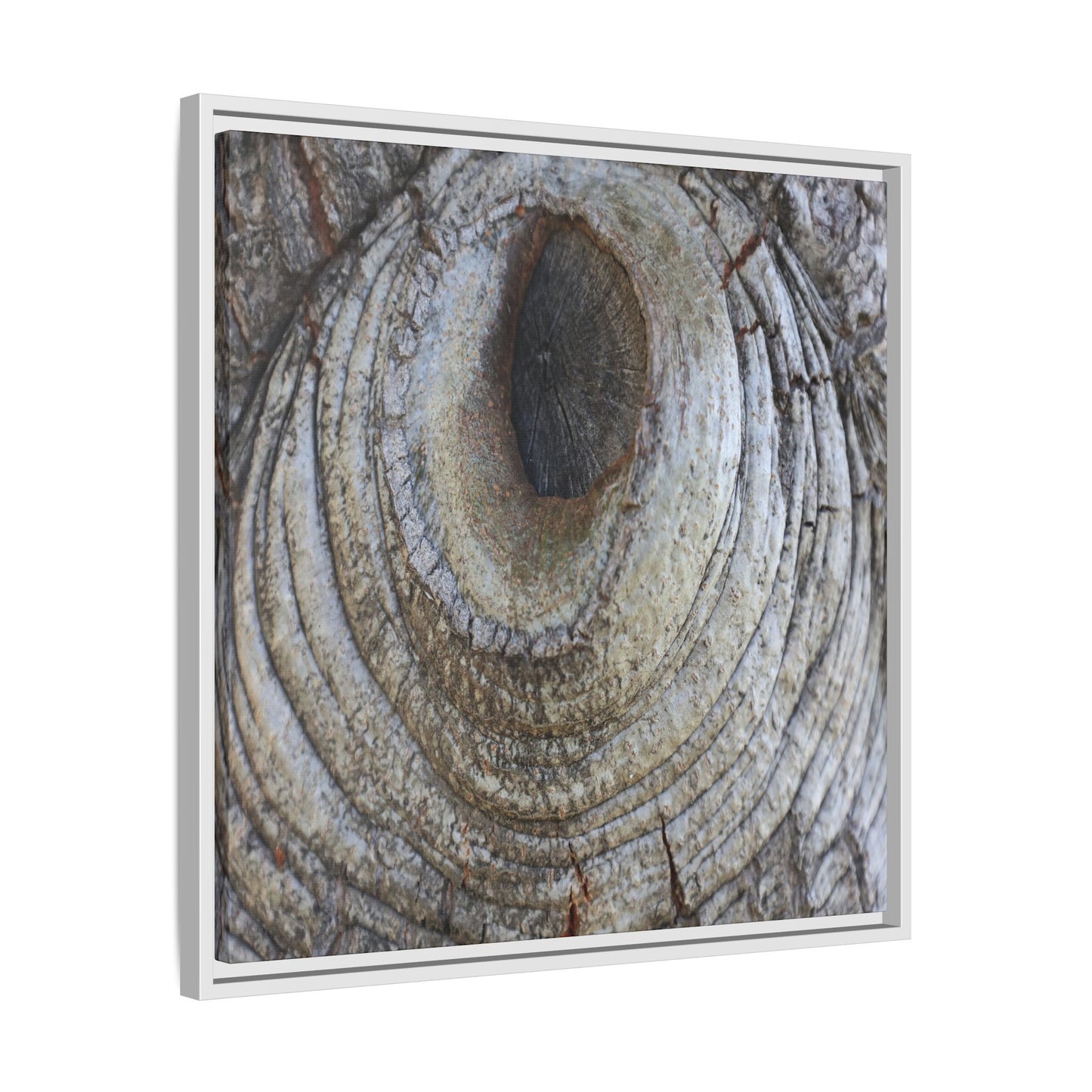 Echoes of Time - Unique Stretched Canvas Wall Art - Art By Earth