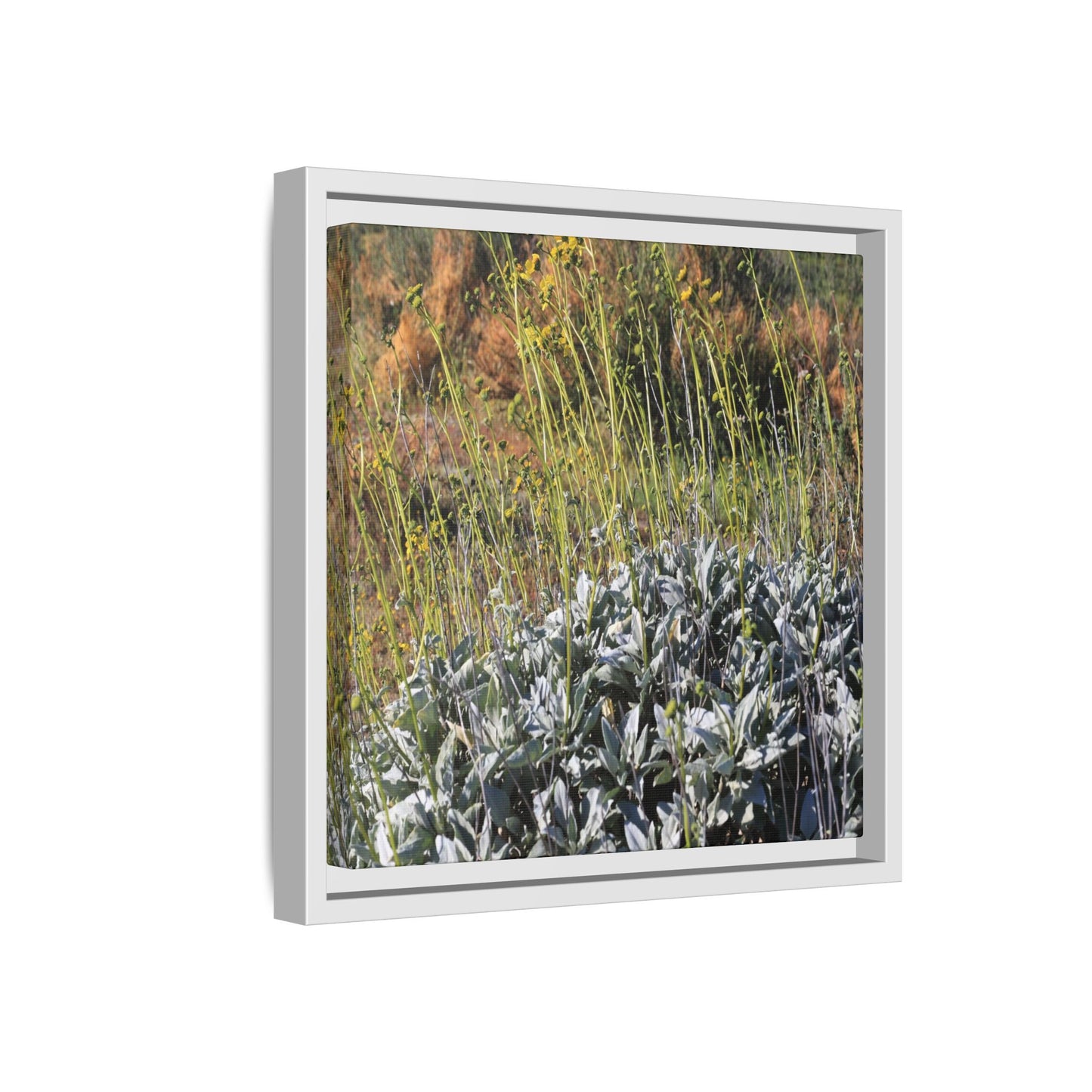 Arid Landscape with Yellow Flowers - Unique Stretched Canvas Wall Art - Art By Earth