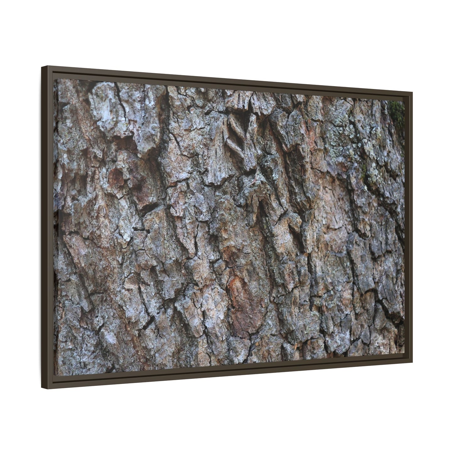 Woodland Skin - Unique Stretched Canvas Wall Art - Art By Earth