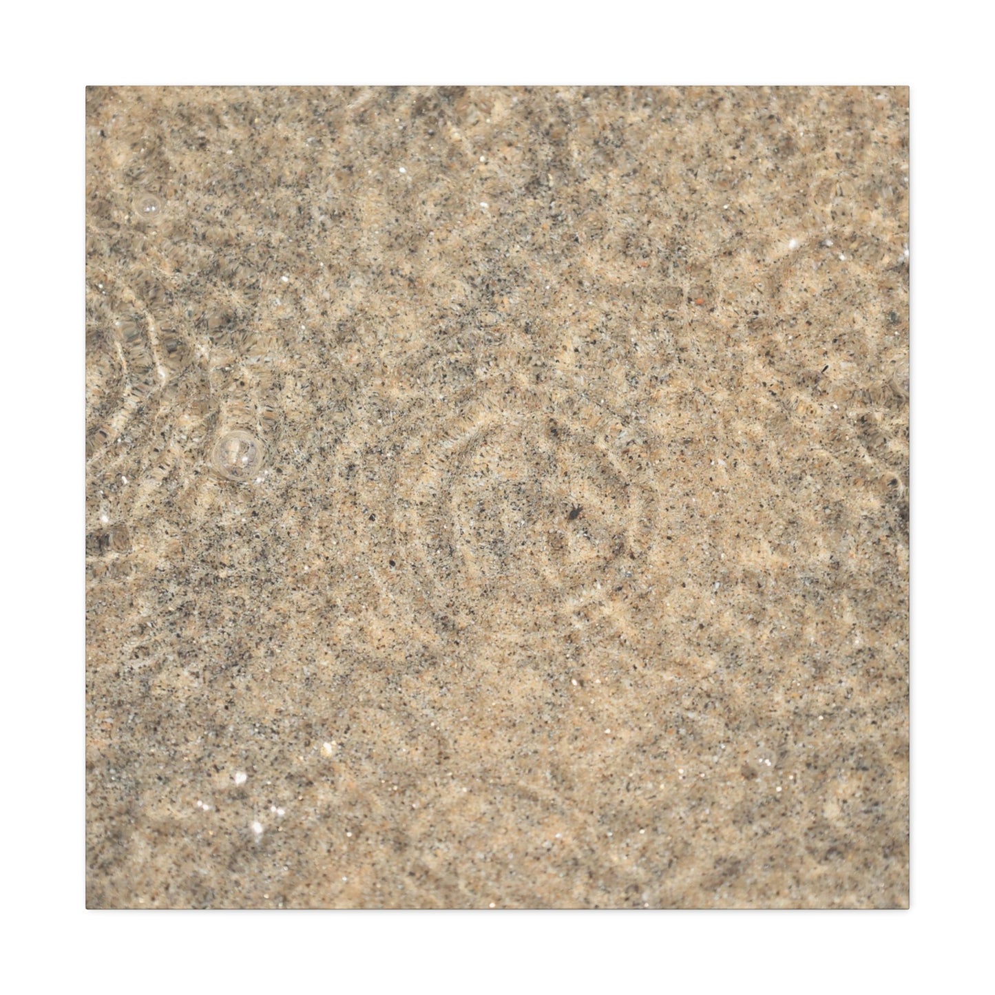 Desert Memory - Unique Frameless Canvas Wall Art - Art By Earth