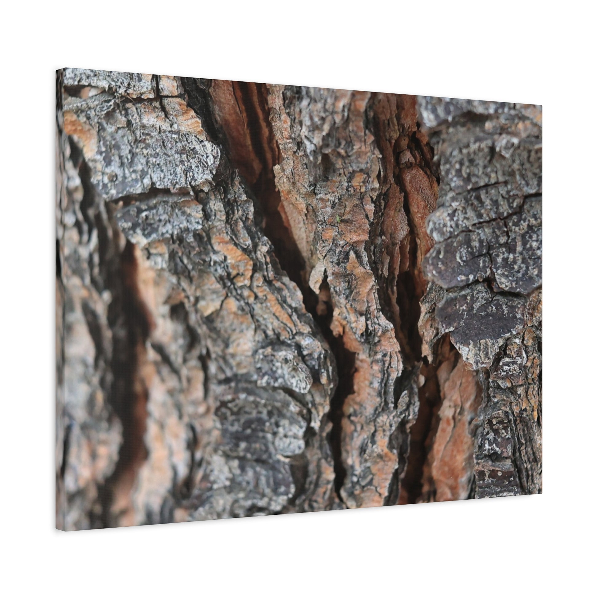 Rough Whispers - Unique Frameless Canvas Wall Art - Art By Earth