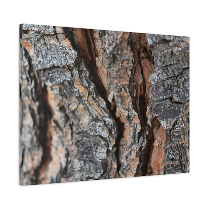 Rough Whispers - Unique Frameless Canvas Wall Art - Art By Earth