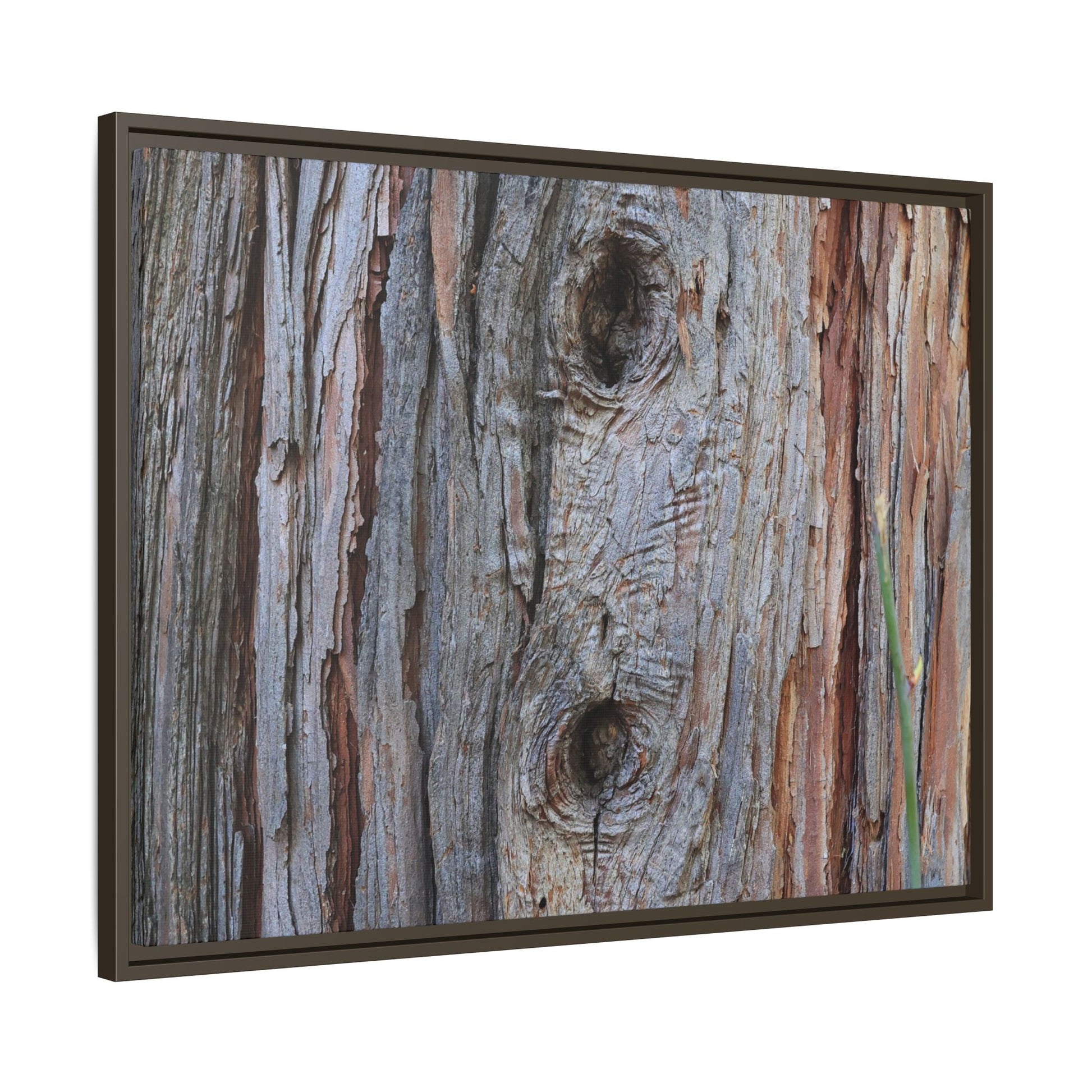 Knotty Nature - Unique Stretched Canvas Wall Art - Art By Earth