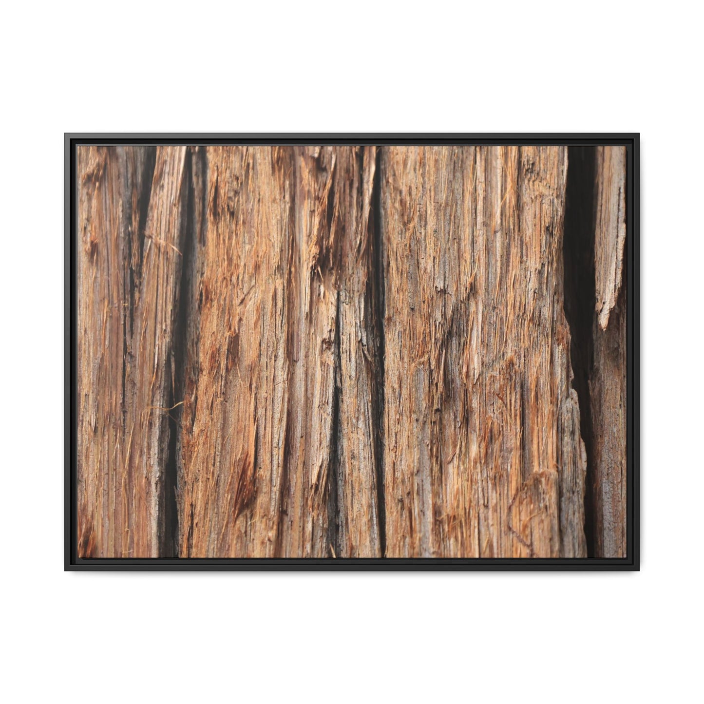 Timber Echoes - Unique Stretched Canvas Wall Art - Art By Earth