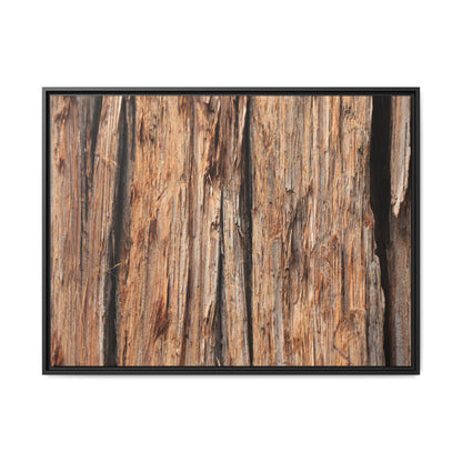 Timber Echoes - Unique Stretched Canvas Wall Art - Art By Earth