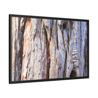 Nature's Grain - Unique Stretched Canvas Wall Art - Art By Earth