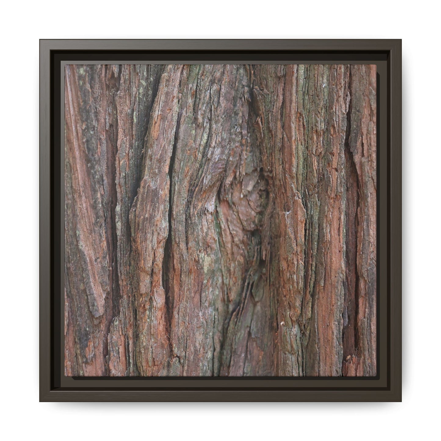 Rugged Textures - Unique Stretched Canvas Wall Art - Art By Earth