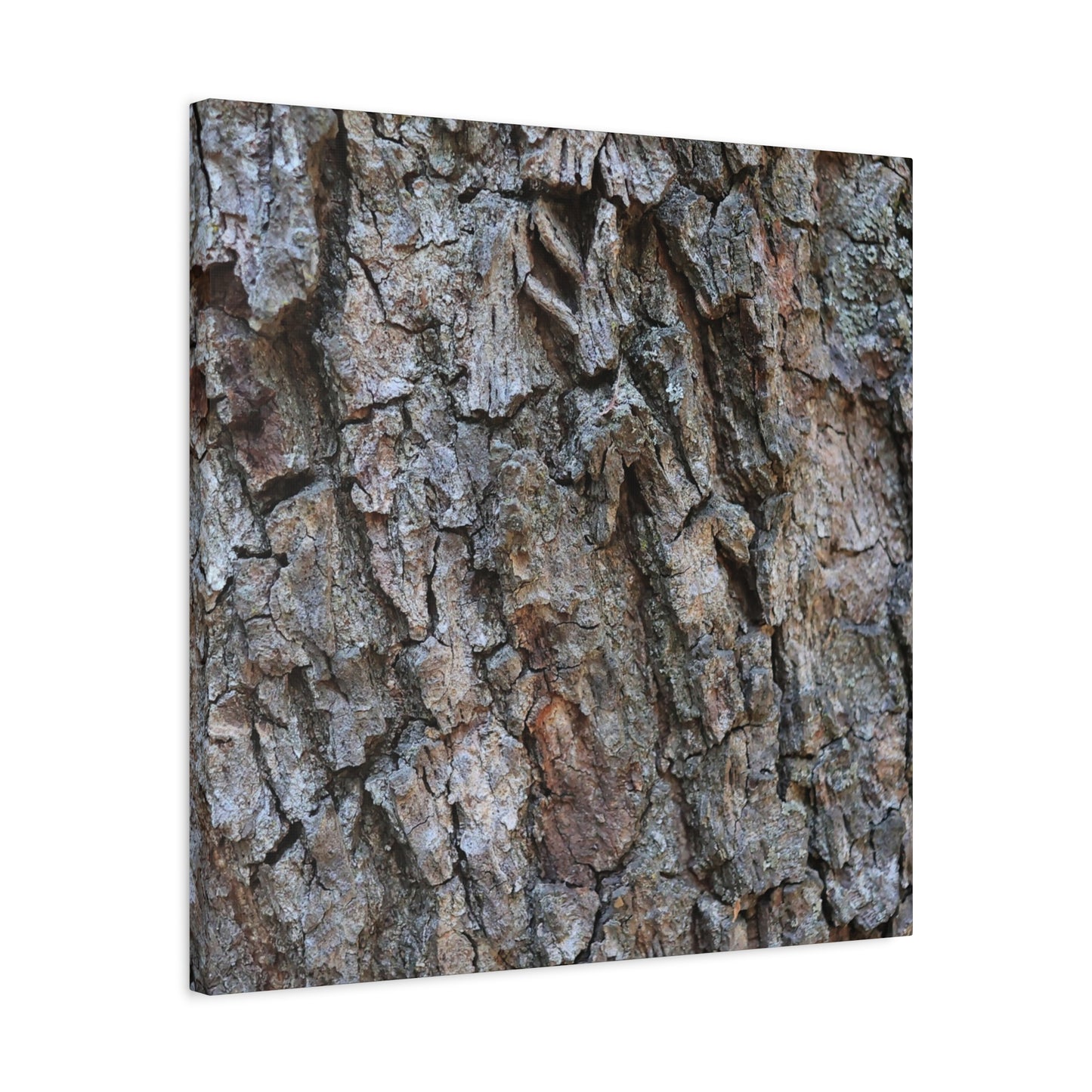 Rugged Canvas - Unique Frameless Canvas Wall Art - Art By Earth